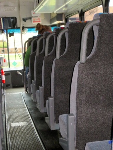 Inside the StagBus